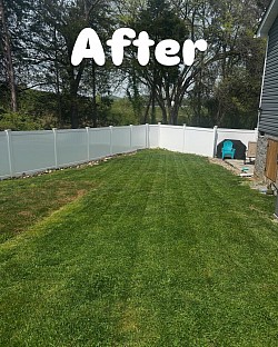 Even better than before