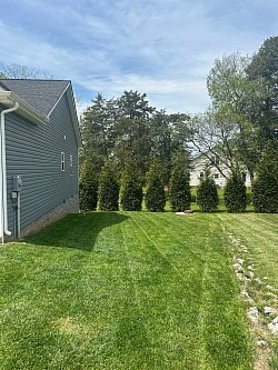 We do amazing work