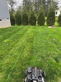 No grass left un-touched